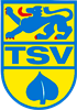 Wappen TSV Schlechtbach 1919