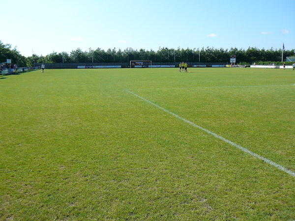 Dansk Revision Arena v/Nordvang skole - Esbjerg V