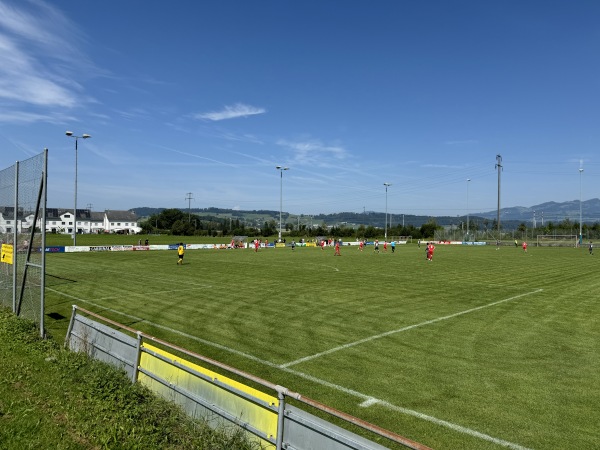 Sportplatz Rietly - Buttikon