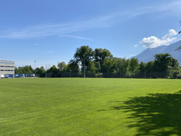 Sportanlage Rheinwiese Platz 3 - Schaan