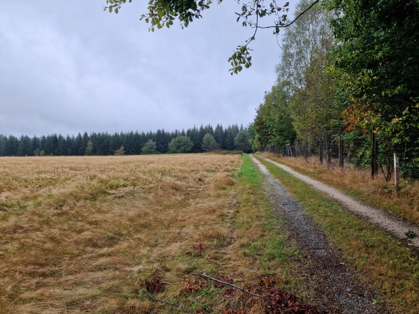 Sportanlage Zeughauser Straße Platz 2 - Muldenhammer-Morgenröthe