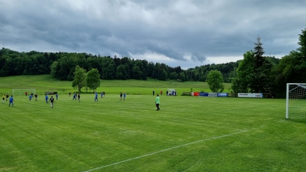 Sportplatz Wiesenweg - Miesbach-Parsberg