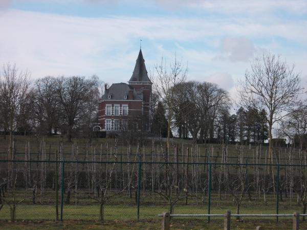 't Lijsternest - Borgloon