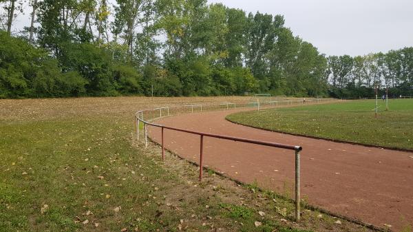 Waldsportplatz - Ilmtal-Weinstraße-Pfiffelbach