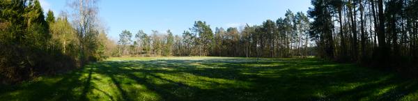 Waldsportplatz - Biendorf/Mecklenburg