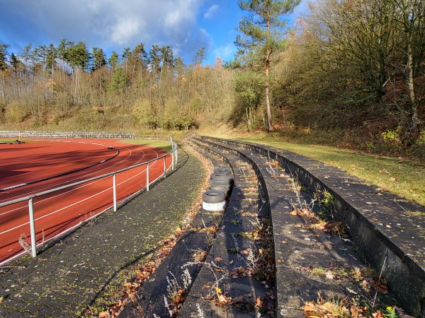 Sportplatz Johann-Michael-Fischer-Gymnasium - Burglengenfeld