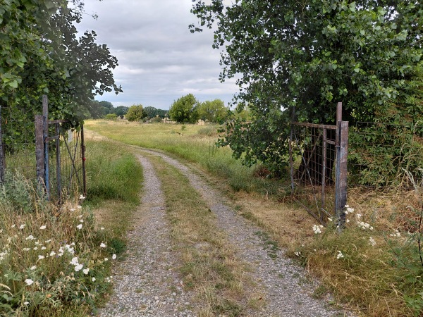 Sportplatz Schneidlinger Straße - Hecklingen-Groß Börnecke