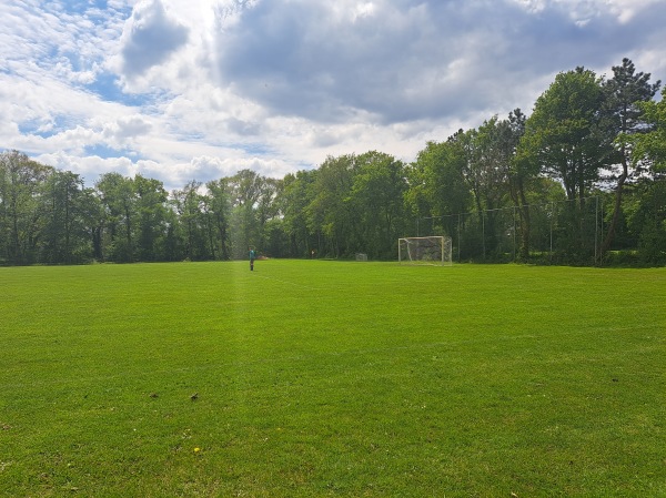 Sportveld De Fielliettaz Goethart veld 4 - Tynaarlo-Vries