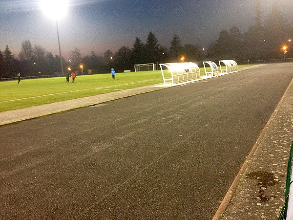 Stade Municipal de Biesheim - Biesheim