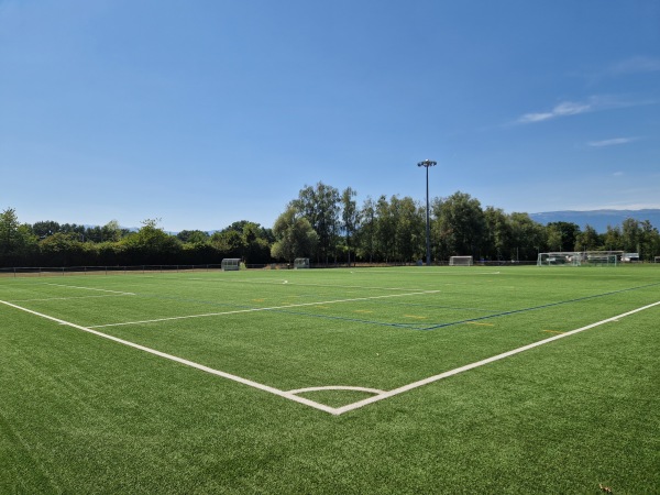 Centre Sportif Intercommunal des Evaux terrain 6 - Onex