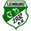 Wappen TV 1932 Leinburg II