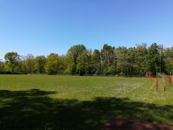 Sportanlage In den Pfalzwiesen - Birkenheide