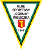 Wappen KS Górnik Wieliczka
