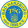 Wappen ehemals TSG Bad Harzburg 1890  123449