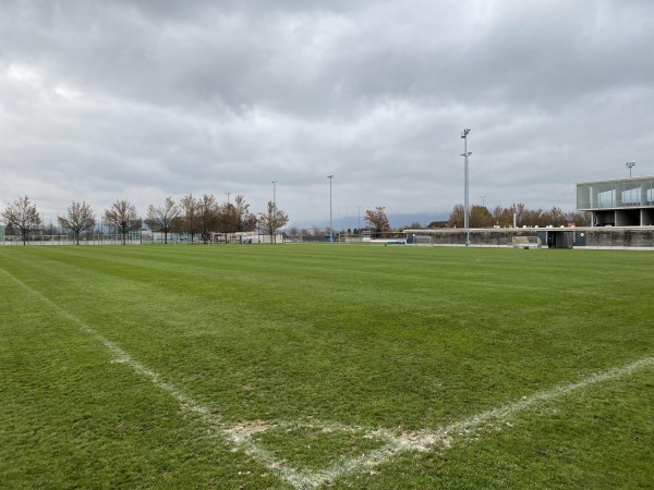 Stadion Grünfeld Platz 3 - Rapperswil-Jona