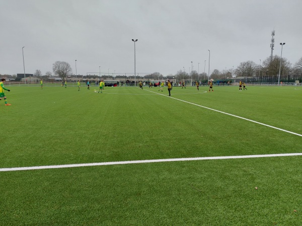 Theo Lommen Sportpark veld 3 - Venlo-Velden