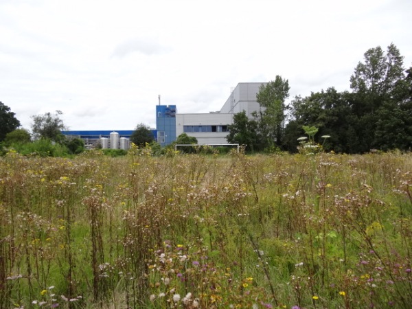 Sportzentrum Birkesdorf Platz 2 (alt) - Düren-Birkesdorf