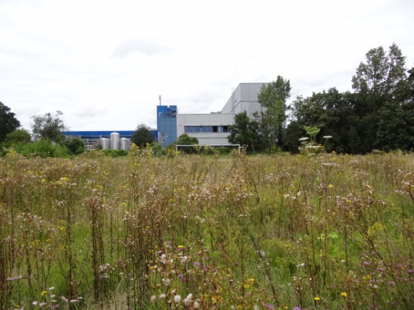 Sportzentrum Birkesdorf Platz  2 (alt) - Düren-Birkesdorf