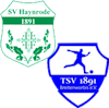 Wappen SG Haynrode/Breitenworbis