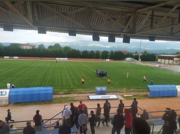 Dimotiko Stadio Arideas - Aridaea
