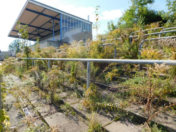 Stadion im Sportforum Chemnitz - Chemnitz