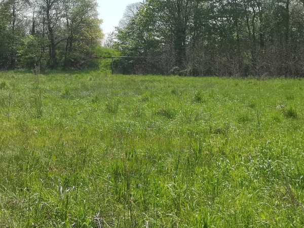 Sportplatz Ungerath - Schwalmtal/Niederrhein-Ungerath