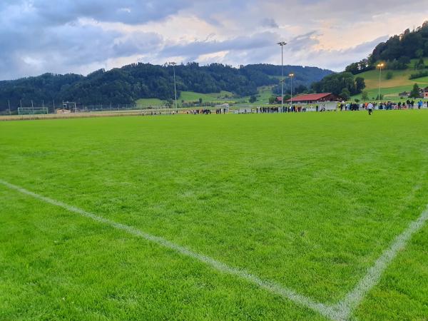 Sportplatz Chrüzmatt Platz 2 - Dagmersellen