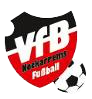 Wappen VfB Neckarrems 2010 Fußball