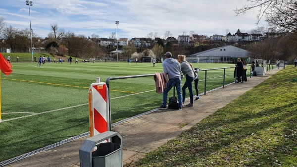 Sportzentrum Wasen Platz 3 - Freiberg/Neckar