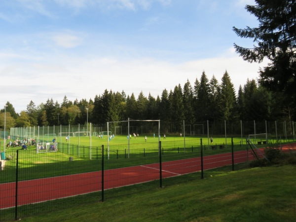 Sportplatz am Waldpark - Auerbach/Vogtland-Grünheide