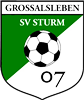 Wappen SV Sturm 07 Großalsleben  77319