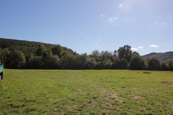 Sportplatz Pünderich - Pünderich