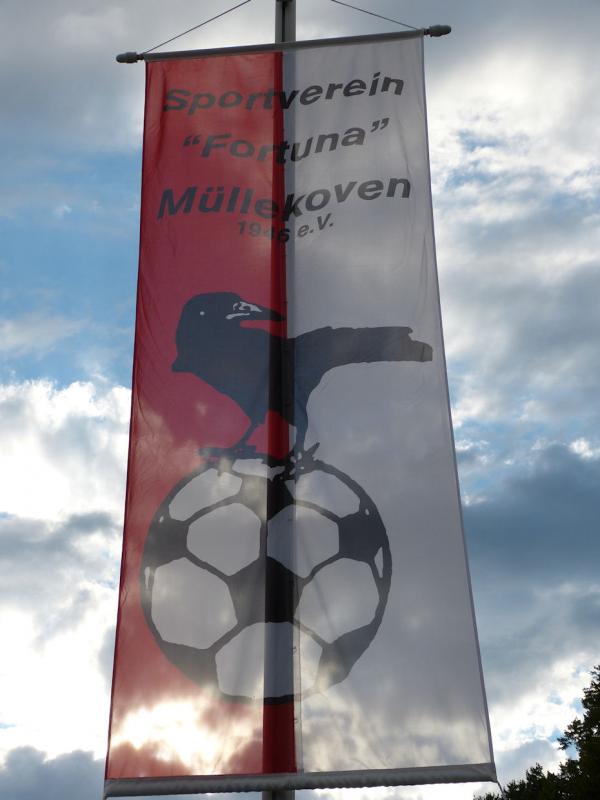 Sportplatz Zur Siegaue - Troisdorf-Müllekoven