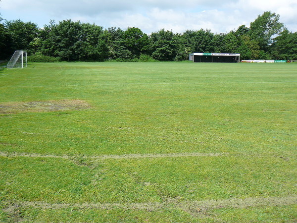 Tarp Stadion - Tarp