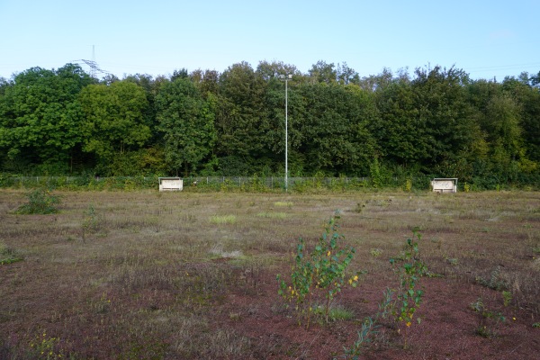 Sportplatz Klopriesstraße - Bottrop-Welheimer Mark