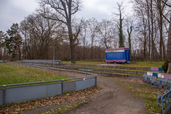 Domreiter Leistungszentrum - Bamberg