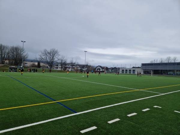 Sportanlage Peterswinkel Platz 3 - Lachen SZ