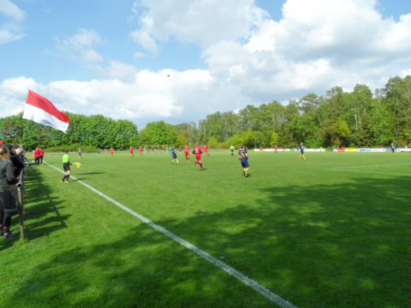 Heinrich-Wilies-Sportanlage - Wienhausen