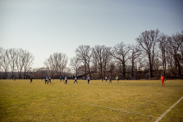 Hans-Lohnert-Sportanlage Platz 2 - Fürth/Mittelfranken-Südstadt