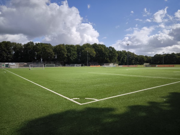 Sportpark De Wijchert veld 2 - Wijchen