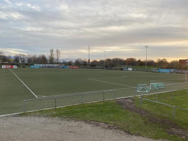 heimatec Jugendarena  - Offenburg 