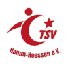 Wappen Türkischer SV Hamm-Heessen 2010 II