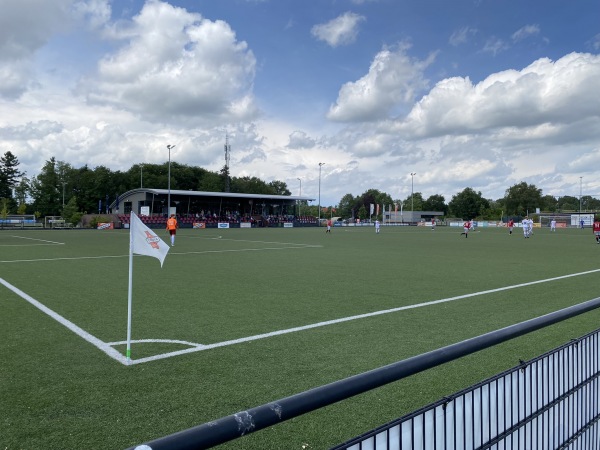 Sportpark De Bijenkorf veld 2-hoofdveld - Hengelo OV
