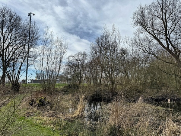 Sportplatz im Felde - Nieheim-Eversen