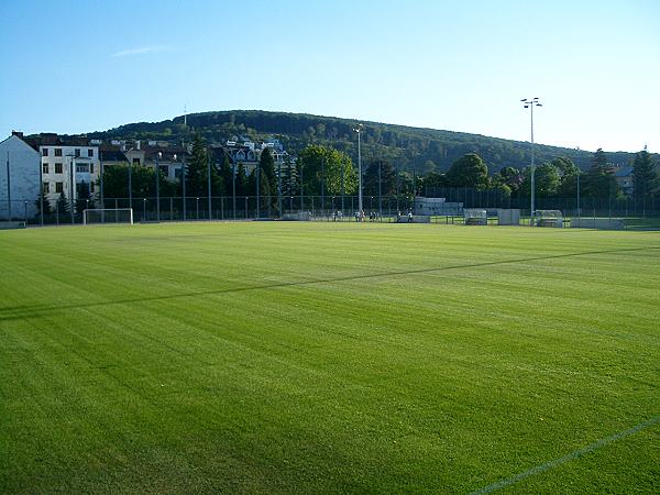 Alter Zustand (vor dem Stadionneubau)