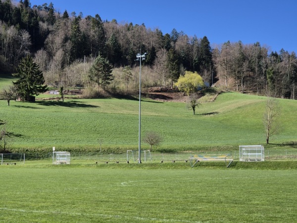 Sportplatz z'Hof Platz 2 - Oberdorf