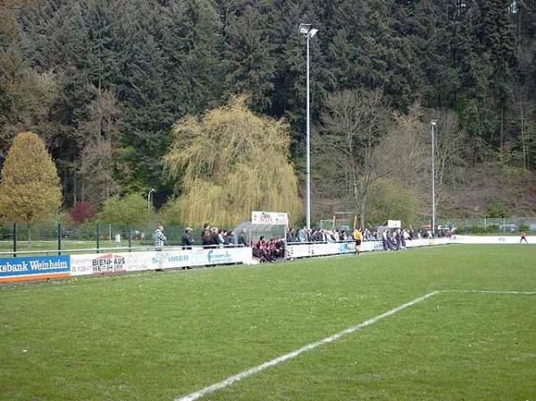 TSG-Waldstadion - Weinheim/Bergstraße