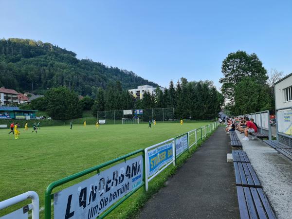 HiWay Arena - Kapfenberg