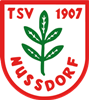 Wappen TSV Nussdorf 1907 diverse  45634