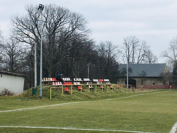Boisko w Michowie - Michów